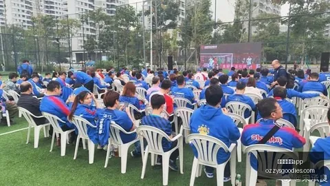 曼联球星心系家乡抗洪，布兰卡，澳门新葡京app平台，领衔法国队公益赛事足球世界-法国焦点竞技风云新浪体育